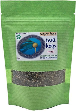 Bull Kelp - (Super Food) Australian